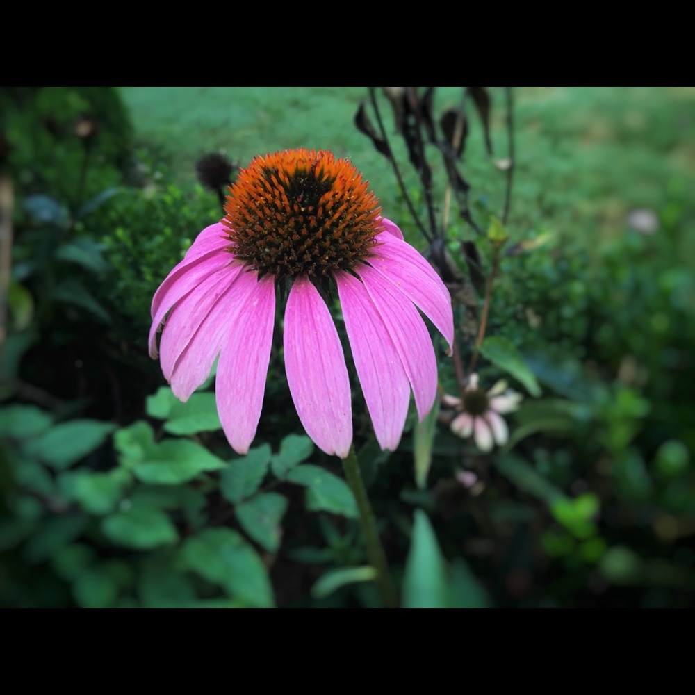 Meet your Posher, Stefani